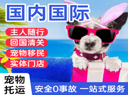 蓬莱机场邮寄国际宠物托运 【国